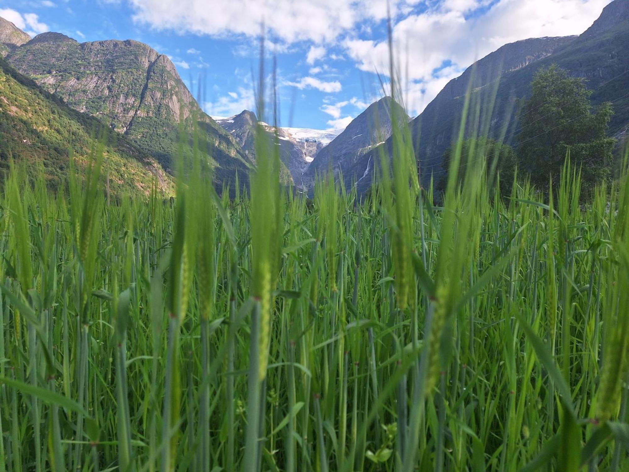 Microen Villa Stryn Kültér fotó